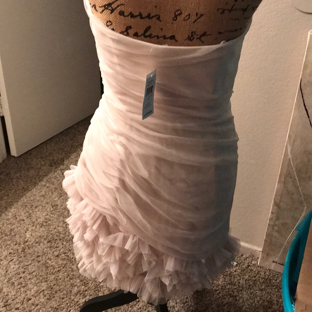 Champagne Maxandcleo sz 8  Dress